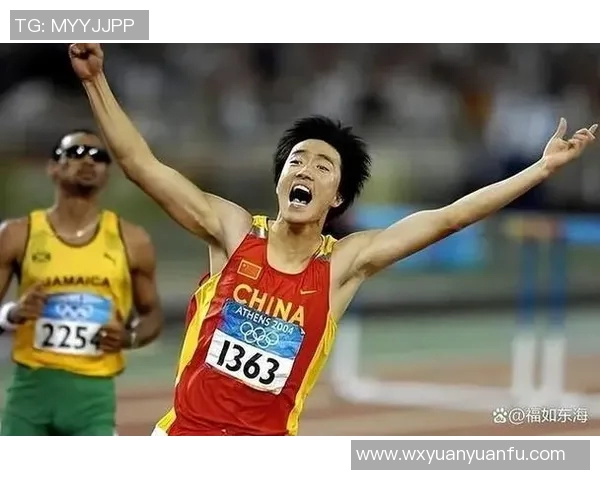 足球明星们如何看待刘翔的成就与影响力解析