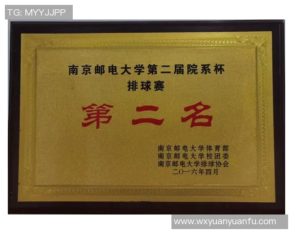 南京排球队的灵活性探讨与训练策略分析