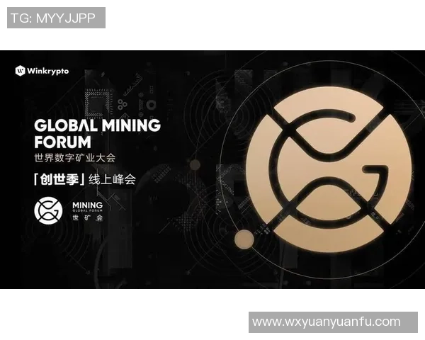 武汉羽毛球队运营分析：成功经验与面临挑战的深度探讨